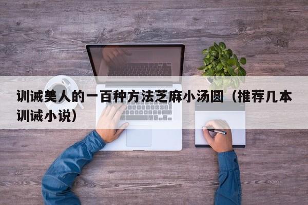 训诫美人的一百种方法芝麻小汤圆(推荐几本训诫小说)