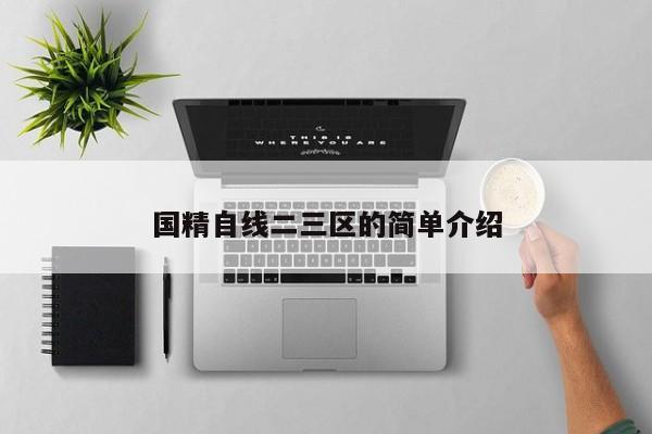 国精自线二三区的简单介绍