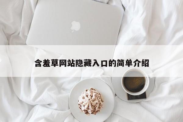 含羞草网站隐藏入口的简单介绍