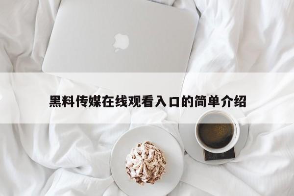 黑料传媒在线观看入口的简单介绍