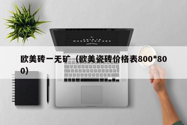 欧美砖一无矿(欧美瓷砖价格表800*800)