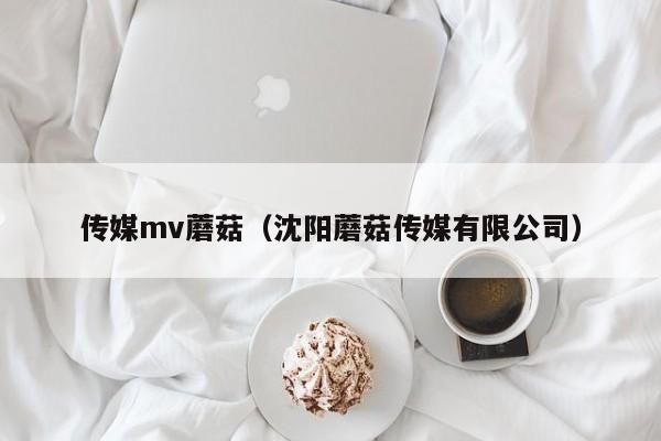 传媒mv蘑菇(沈阳蘑菇传媒有限公司)